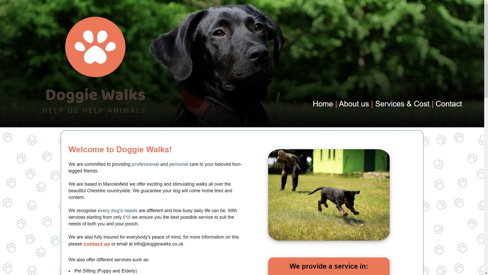 screenshot of doggiewalks project